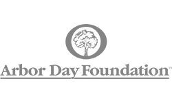 Arbor Day Foundation